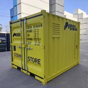 9ft New Chemical Storage Shipping Container